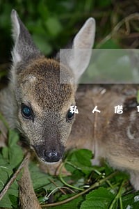 私人借贷只还本金 私人借贷只还本金