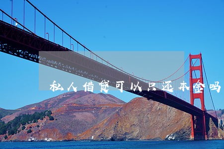 私人借贷可以只还本金吗 私人借贷可以只还本金吗