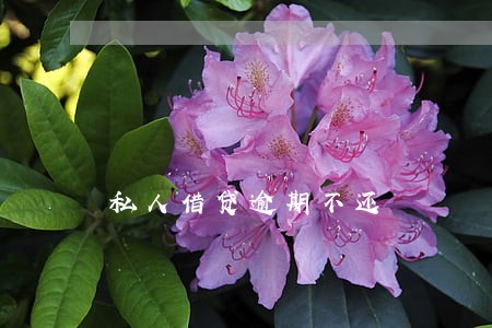 私人借贷逾期不还 私人借贷逾期不还