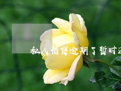 私人借贷逾期了暂时还不上怎么办