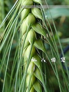 私人借贷逾期利息