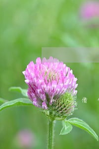 私人借贷逾期利息合法 私人借贷逾期利息合法