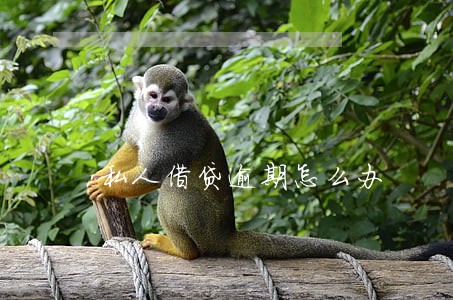 私人借贷逾期怎么办 私人借贷逾期怎么办