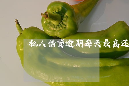 私人借贷逾期每天最高还多少 私人借贷逾期每天最高还多少
