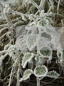 私人借钱一般逾期利息是多少 私人借钱一般逾期利息是多少