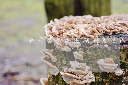 私人借钱要逾期利息违法吗 私人借钱要逾期利息违法吗