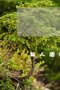 私人借钱逾期一天会怎样 私人借钱逾期一天会怎样