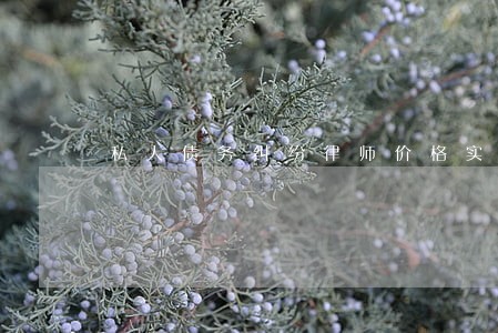 私人债务纠纷律师价格实惠 私人债务纠纷律师价格实惠