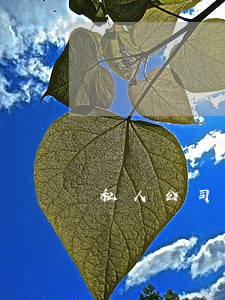 私人公司算不算违法 私人公司算不算违法
