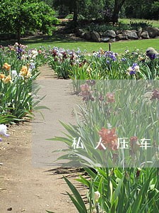 私人压车逾期要违约金多少合法