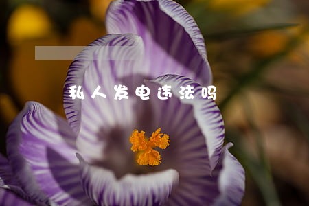私人发电违法吗 私人发电违法吗
