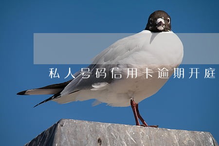 私人号码信用卡逾期开庭