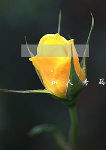 私人号码发逾期通知 私人号码发逾期通知