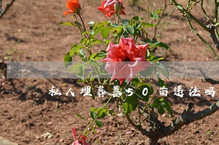 私人埋葬墓50亩违法吗 私人埋葬墓50亩违法吗
