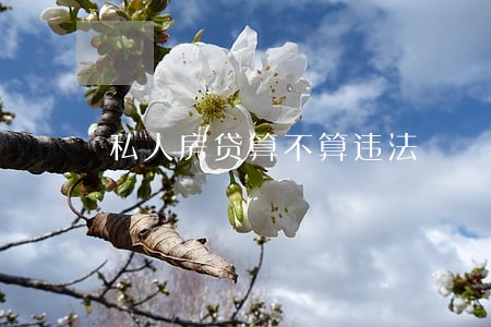 私人房贷算不算违法