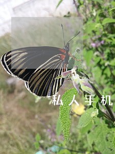 私人手机号码逾期 私人手机号码逾期