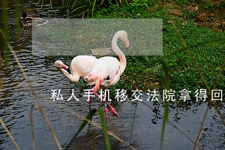 私人手机移交法院拿得回来吗 私人手机移交法院拿得回来吗