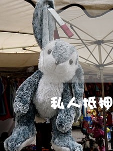 私人抵押贷款逾期会怎么样 私人抵押贷款逾期会怎么样
