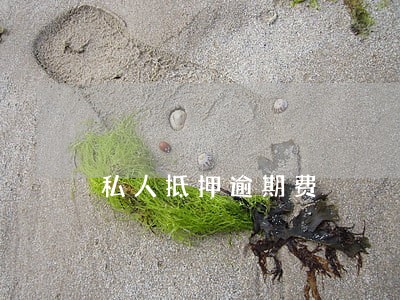 私人抵押逾期费 私人抵押逾期费