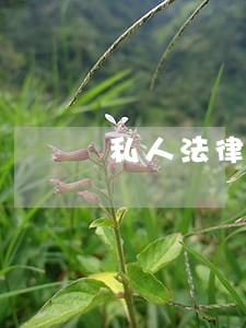 私人法律律师联系方式 私人法律律师联系方式