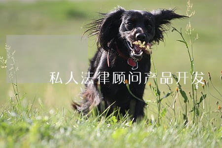 私人法律顾问产品开发 私人法律顾问产品开发