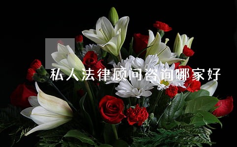 私人法律顾问咨询哪家好 私人法律顾问咨询哪家好