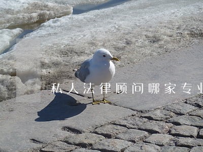 私人法律顾问哪家专业