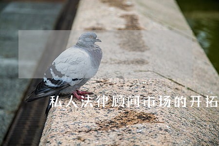 私人法律顾问市场的开拓 私人法律顾问市场的开拓