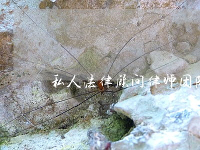 私人法律顾问律师团队 私人法律顾问律师团队