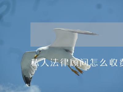 私人法律顾问怎么收费标准 私人法律顾问怎么收费标准