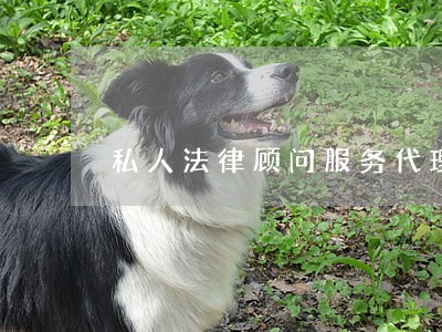 私人法律顾问服务代理 私人法律顾问服务代理