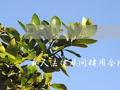 私人法律顾问聘用合同 私人法律顾问聘用合同