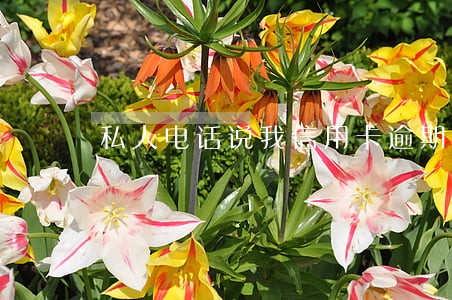 私人电话说我信用卡逾期