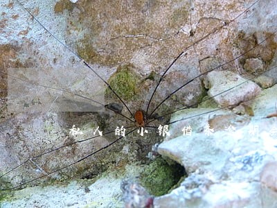 私人的小银借条逾期会怎样 私人的小银借条逾期会怎样
