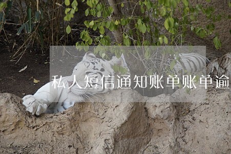私人短信通知账单账单逾期 私人短信通知账单账单逾期