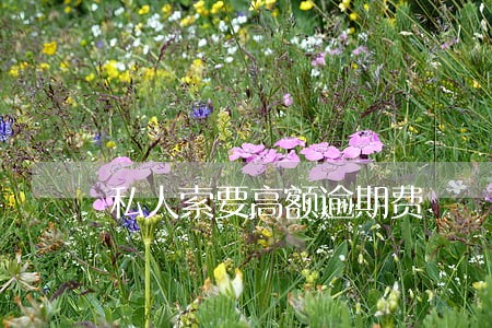 私人索要高额逾期费 私人索要高额逾期费