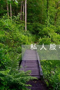 私人股权公司做股票是违法的吗 私人股权公司做股票是违法的吗