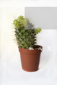 私人货物抵押逾期 私人货物抵押逾期