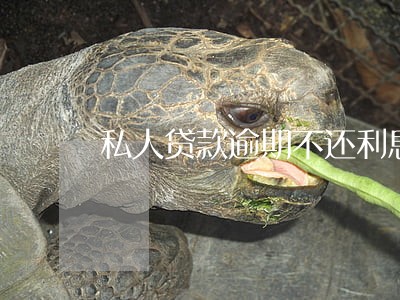 私人贷款逾期不还利息怎么算 私人贷款逾期不还利息怎么算