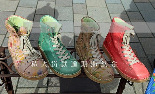 私人贷款逾期滞纳金 私人贷款逾期滞纳金