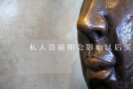 私人贷逾期会影响以后买房子吗 私人贷逾期会影响以后买房子吗