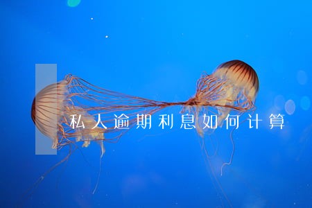 私人逾期利息如何计算 私人逾期利息如何计算