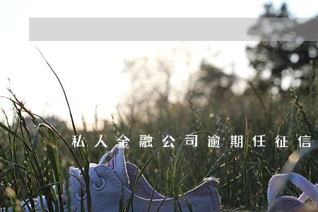 私人金融公司逾期任征信