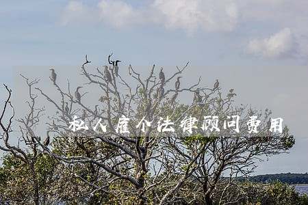 私人雇个法律顾问费用 私人雇个法律顾问费用