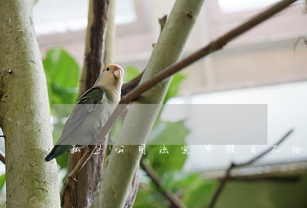 私企公司法定节假日不给三倍工资 私企公司法定节假日不给三倍工资