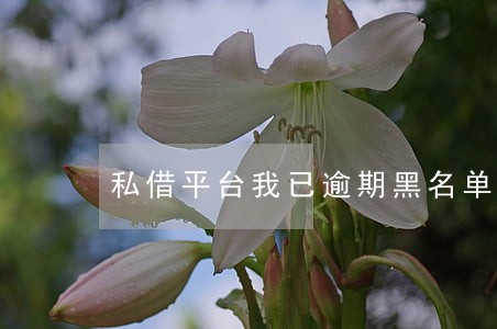 私借平台我已逾期黑名单了 私借平台我已逾期黑名单了