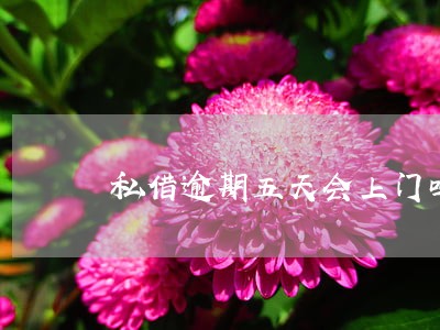私借逾期五天会上门吗 私借逾期五天会上门吗