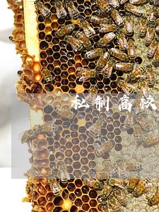 私制高校录取通知书违法吗