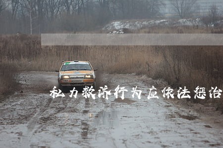 私力救济行为应依法惩治违法 私力救济行为应依法惩治违法