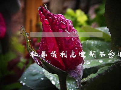 私募债利息逾期本金返还 私募债利息逾期本金返还